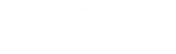 Orion Logo